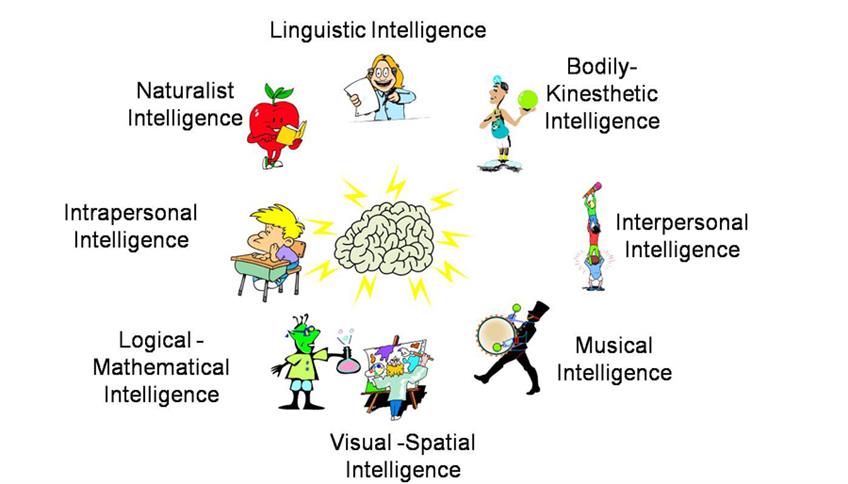 Le intelligenze multiple di Gardner Le intelligenze multiple di Gardner